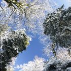 Winter im Schwarzwald