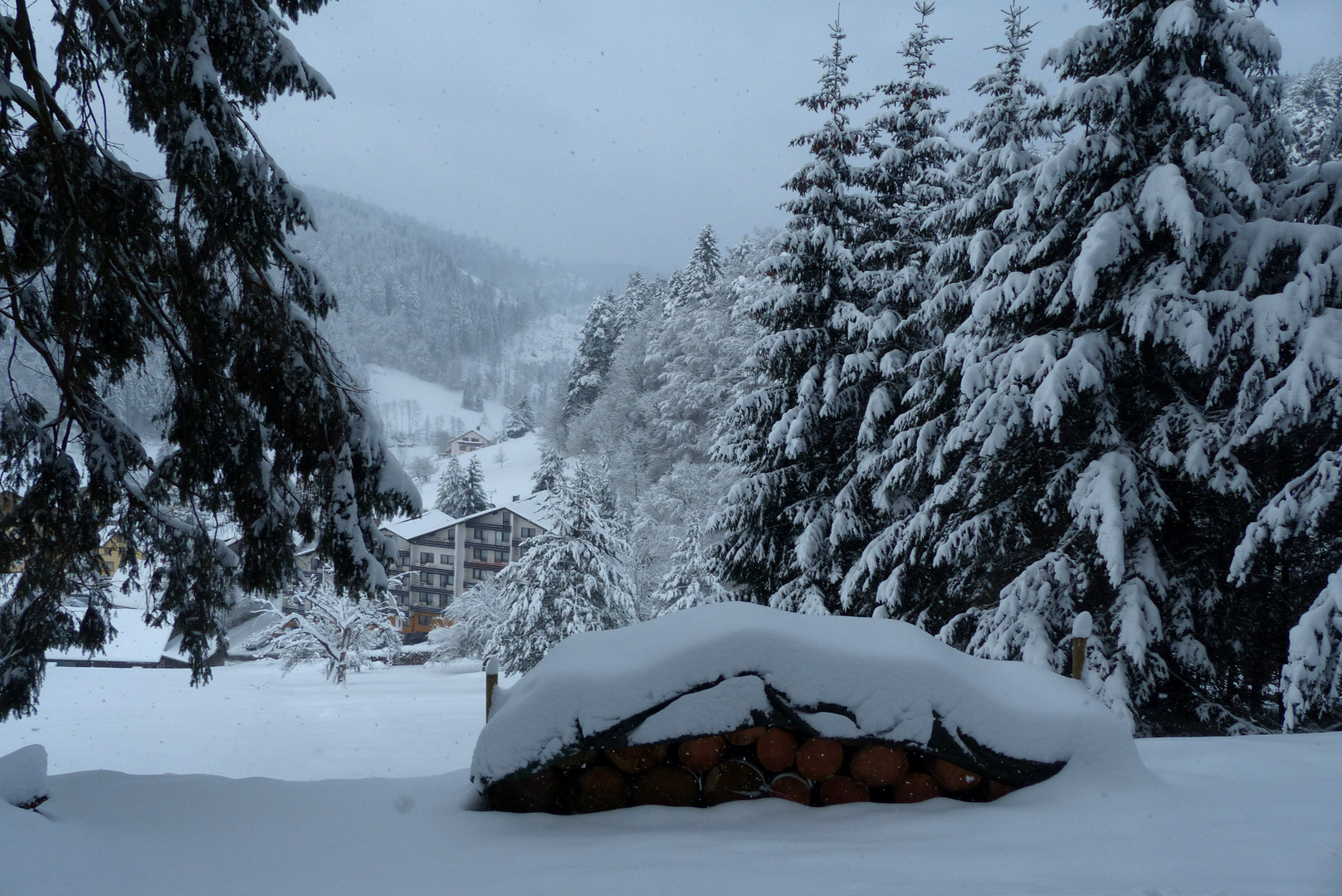 °°°° Winter im Schwarzwald °°°°