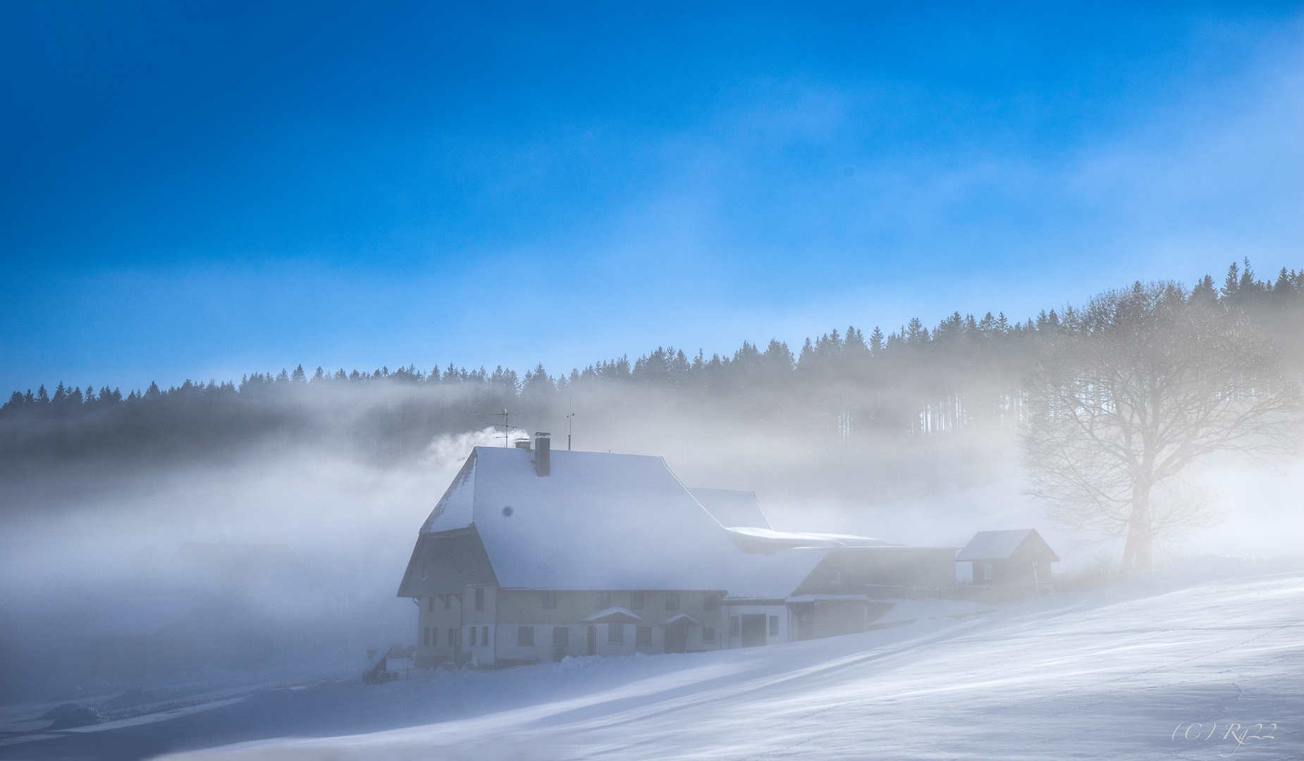 winter im schwarzwald 