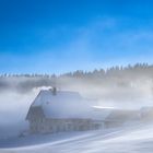 winter im schwarzwald 