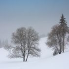 Winter im Schwarzwald