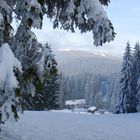 Winter im Schwarzwald