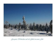 Winter im Schwarzwald