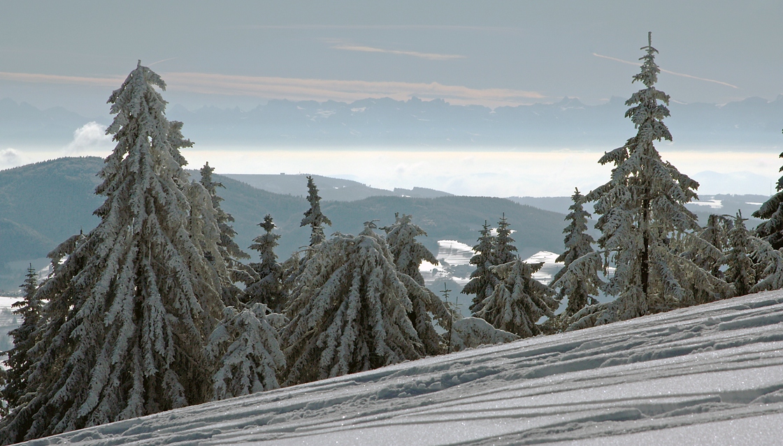 Winter im Schwarzwald