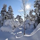 Winter im Schwarzwald