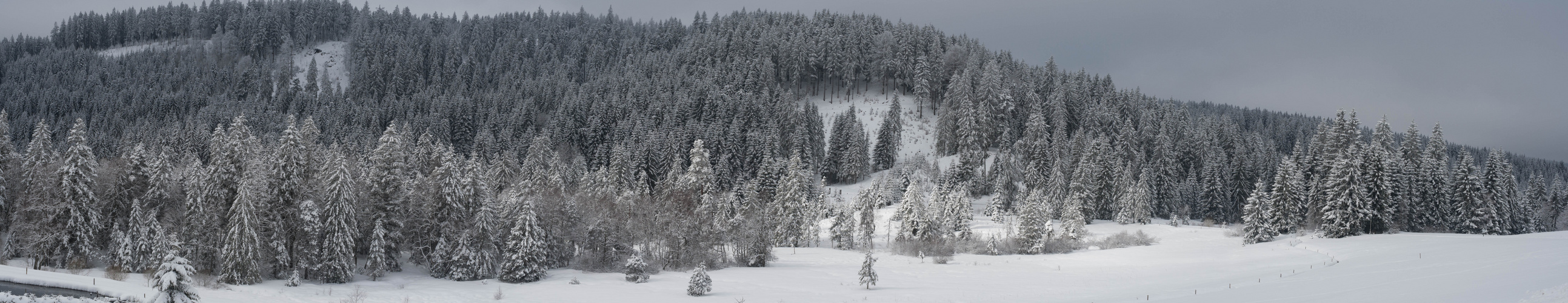 Winter im Schwarzwald