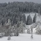 Winter im Schwarzwald