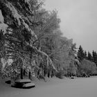 Winter im Schwarzwald....