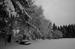 Winter im Schwarzwald....