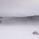 Winter im Schwarzwald