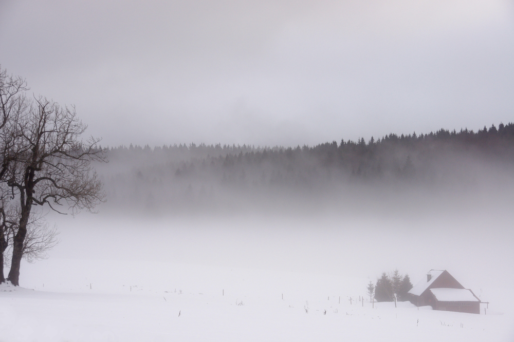 Winter im Schwarzwald von Anna Ziebold 