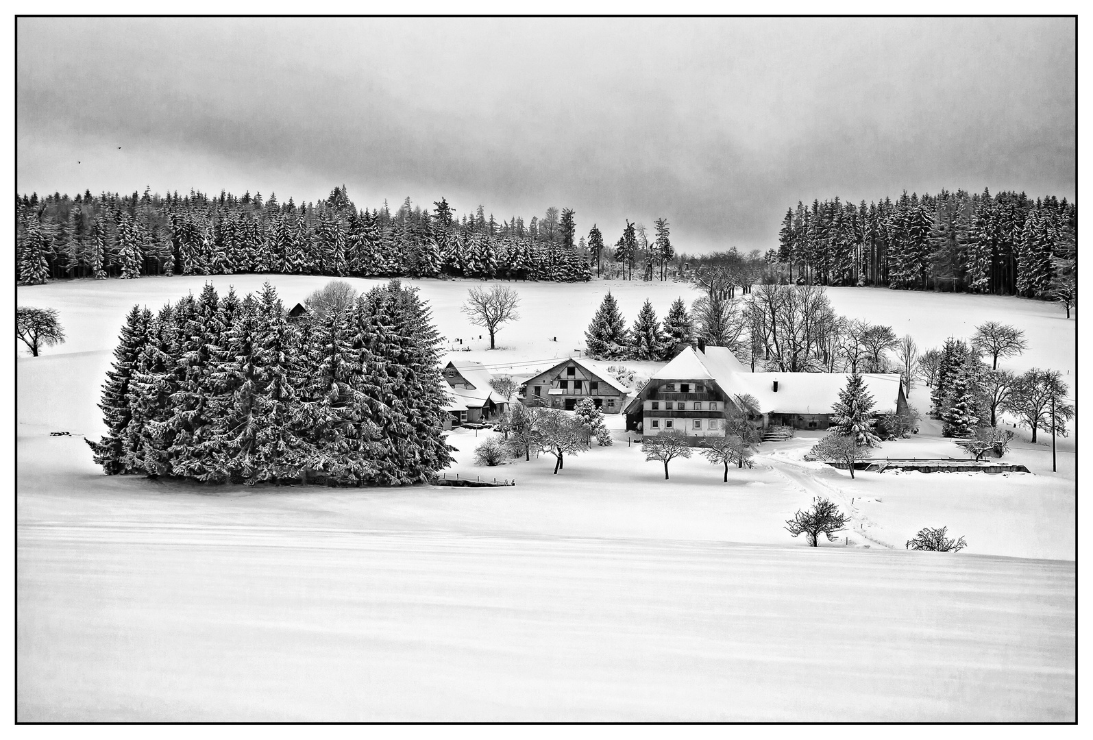 Winter im Schwarzwald