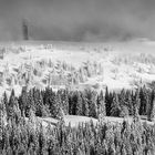 Winter im Schwarzwald