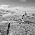 Winter im Schwarzwald