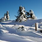 Winter im Schwarzwald