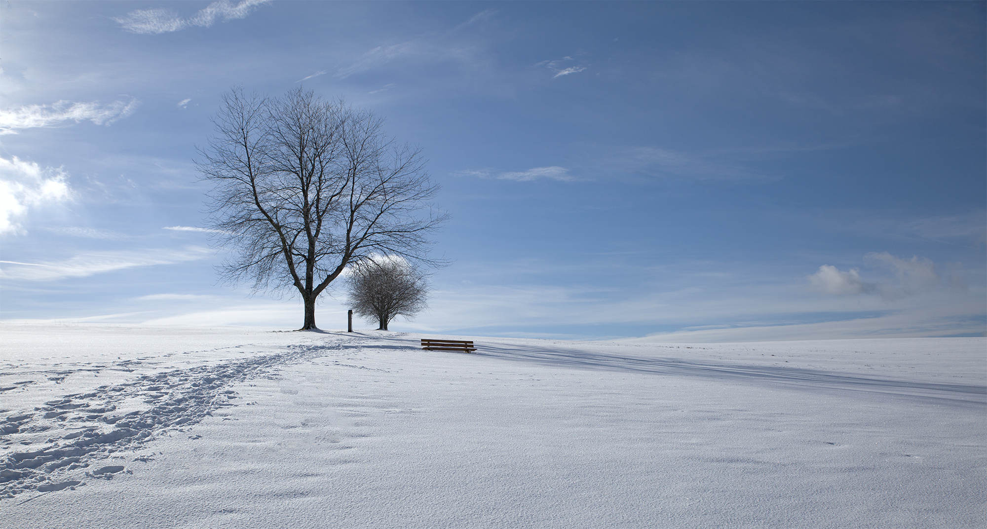 Winter im Schwarzwald bei Sankt Peter