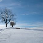 Winter im Schwarzwald bei Sankt Peter