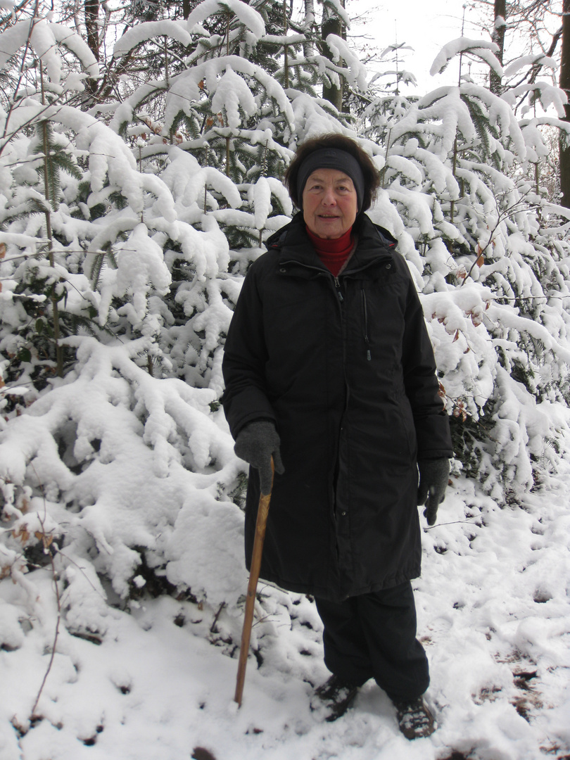 Winter im Schwarzwald