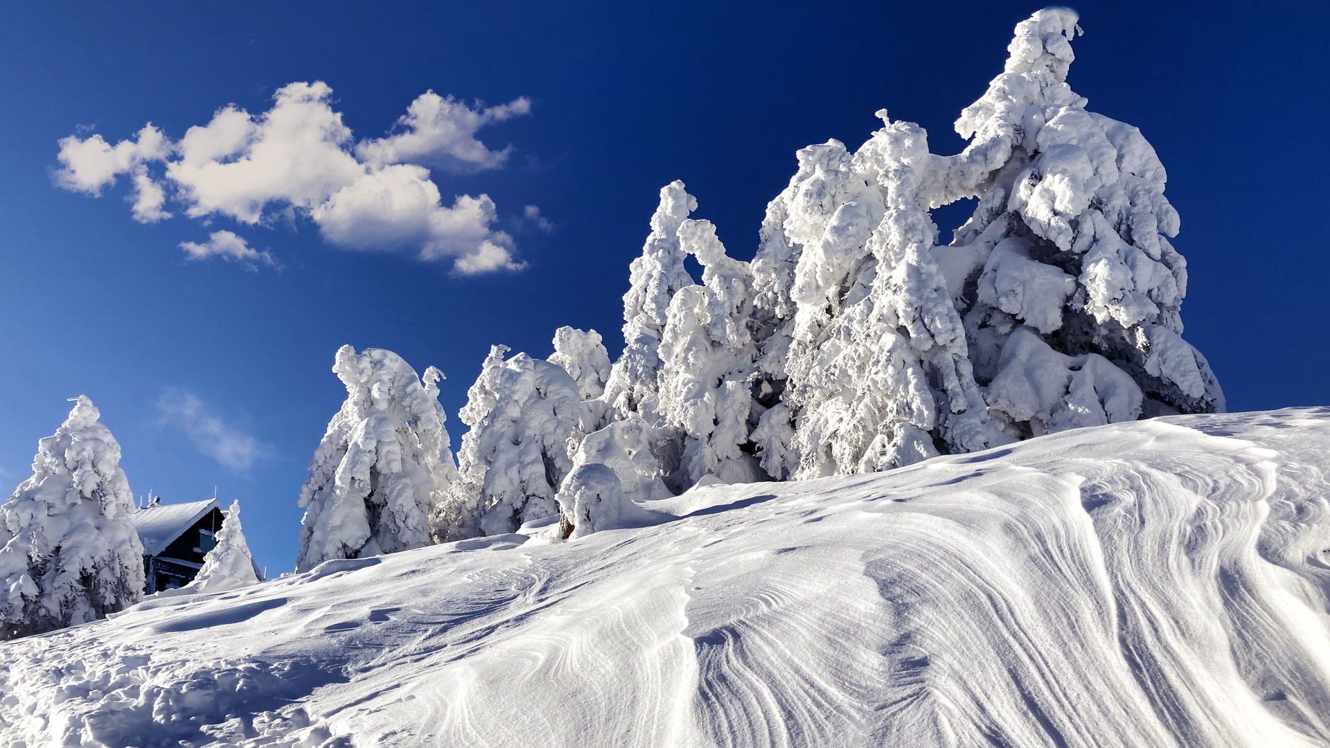 Winter im Schwarzwald