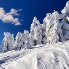 Winter im Schwarzwald