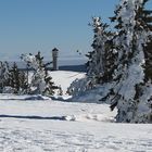 Winter im Schwarzwald