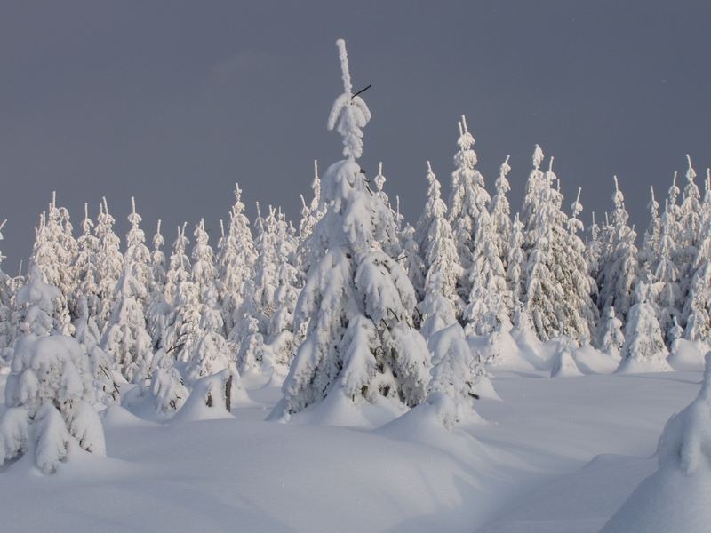 Winter im Schwarzwald