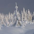 Winter im Schwarzwald