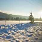 Winter im Schwarzwald