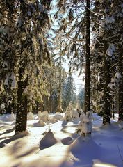 Winter im Schwarzwald 