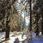 Winter im Schwarzwald 