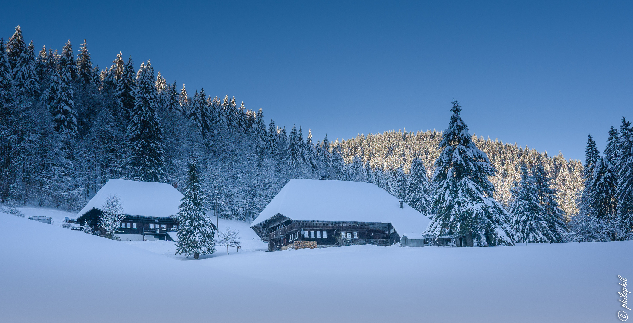 Winter im Schwarzwald