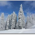 Winter im Schwarzwald