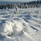 Winter im Schwarzwald