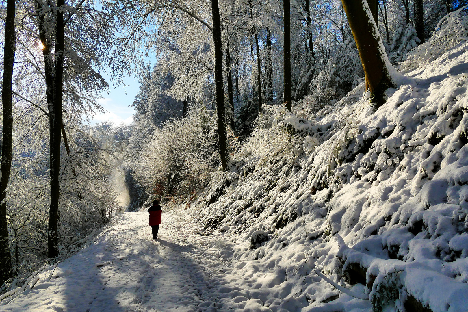 Winter im Schwarzwald 