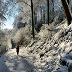 Winter im Schwarzwald 