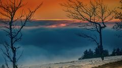 Winter im Schwarzwald / Foto Nr. 2