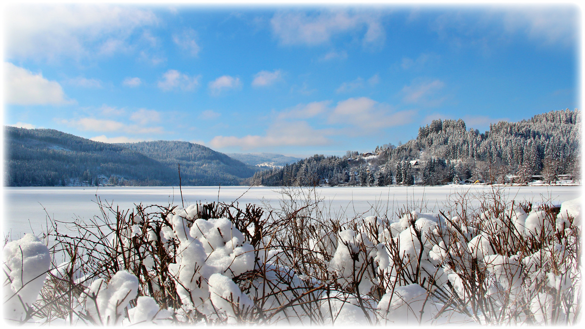 Winter im Schwarzwald I