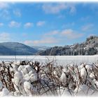 Winter im Schwarzwald I