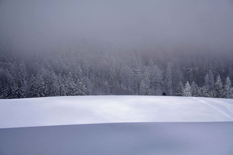 Winter im Schwarzwald wie er sein soll...