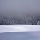 Winter im Schwarzwald wie er sein soll...