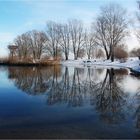 winter im seeburgpark