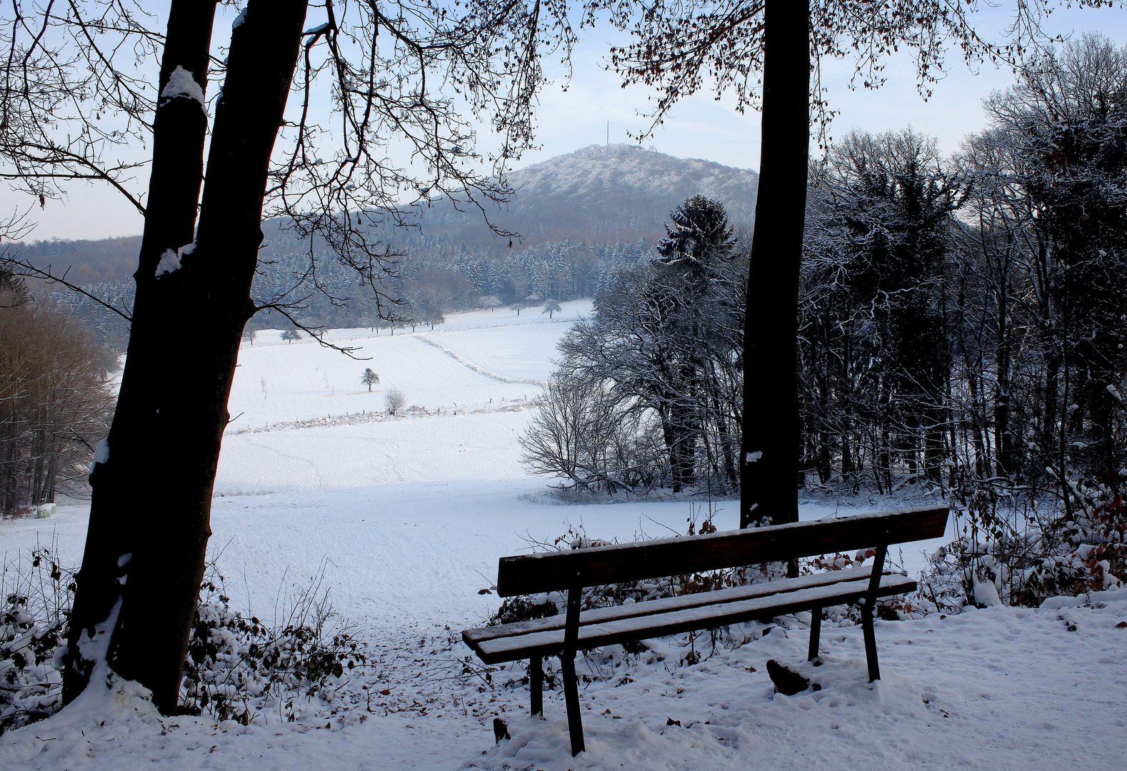 Winter im Siebengebirge