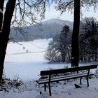 Winter im Siebengebirge