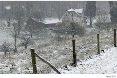 Winter im Siebengebirge...