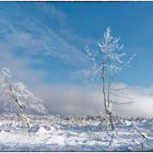 Winter im Siegerland Blue Monday