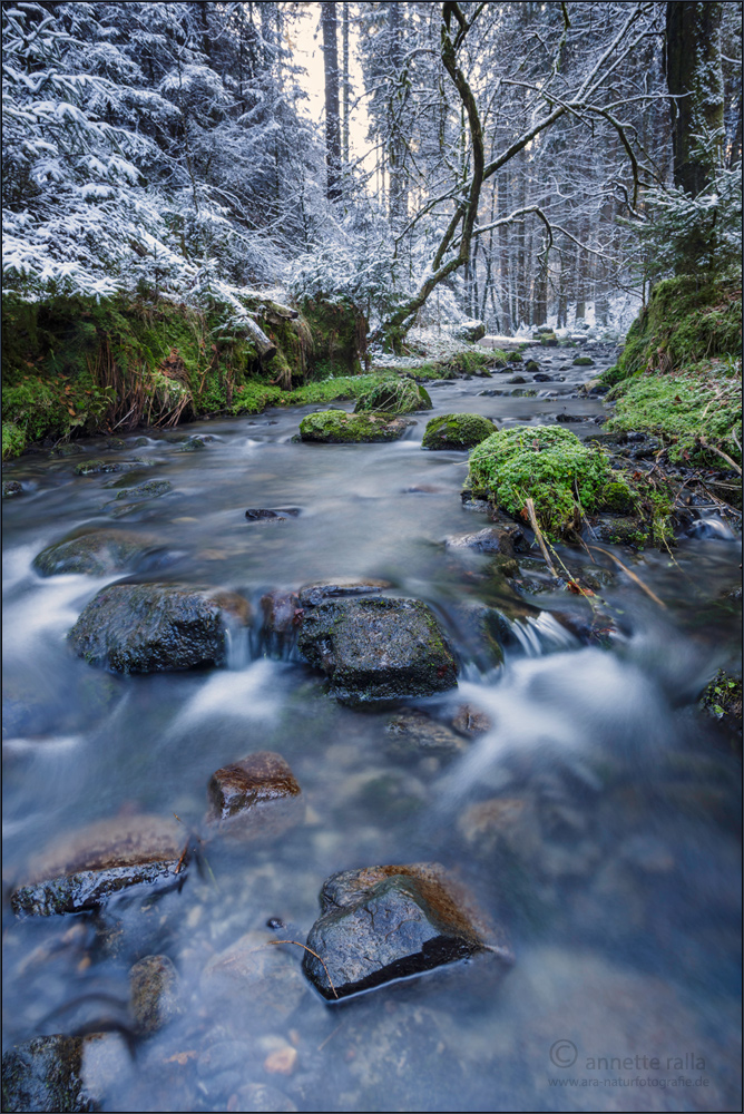 Winter im Silberbachtal