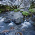 Winter im Silberbachtal