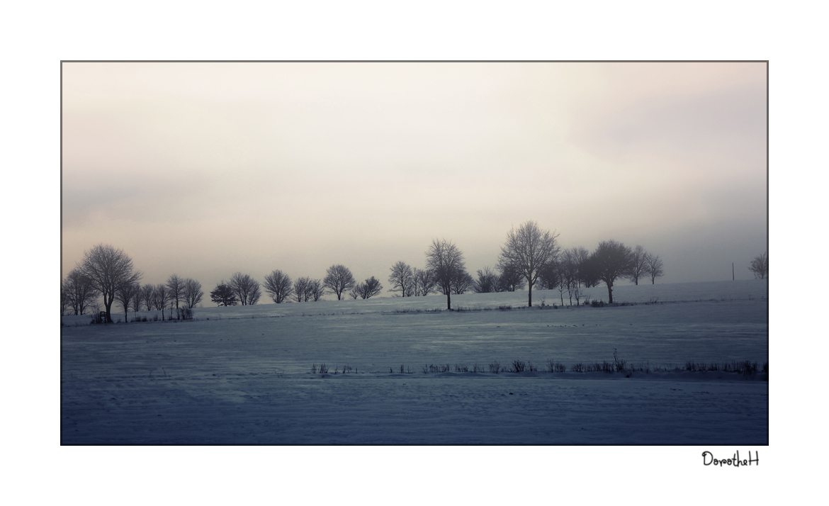 Winter im Soester Land