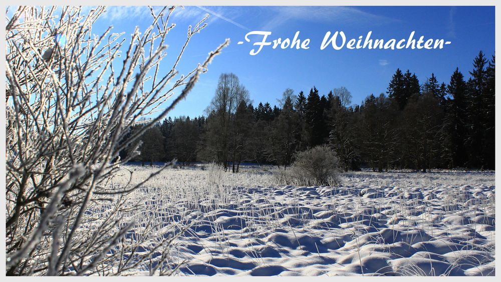 -Winter im Solling-