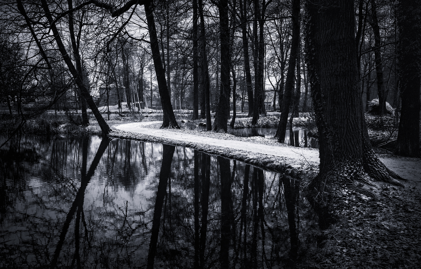 Winter im Soreewald